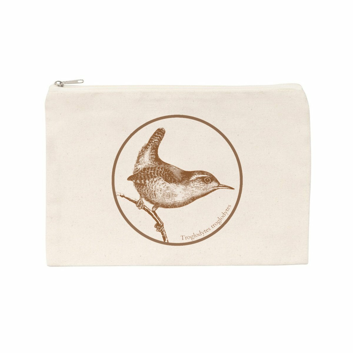 Troglodytes troglodytes - face_naturel