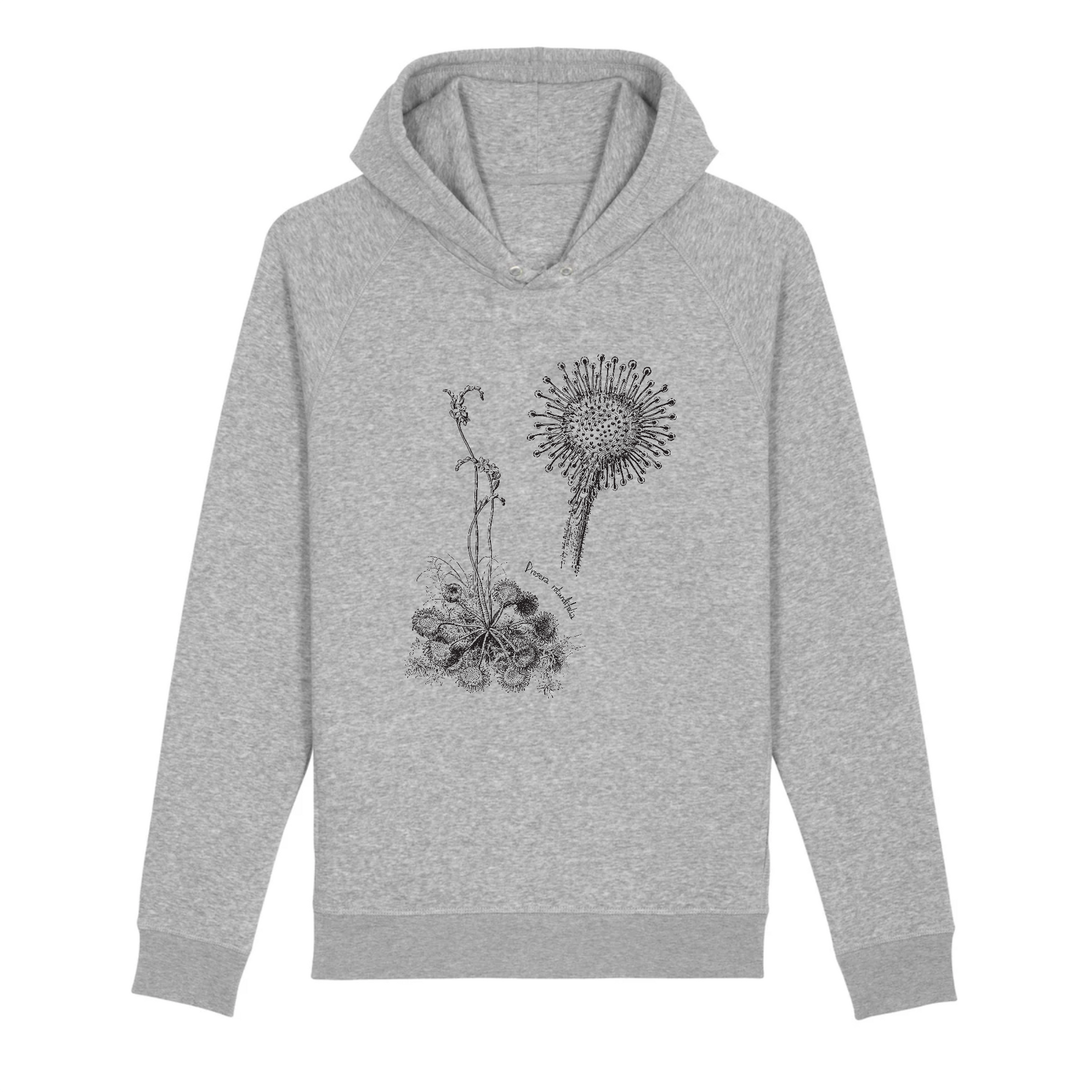 Gris