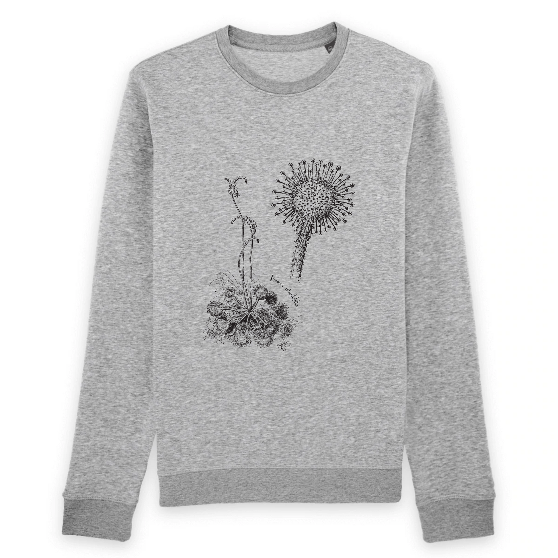 Gris