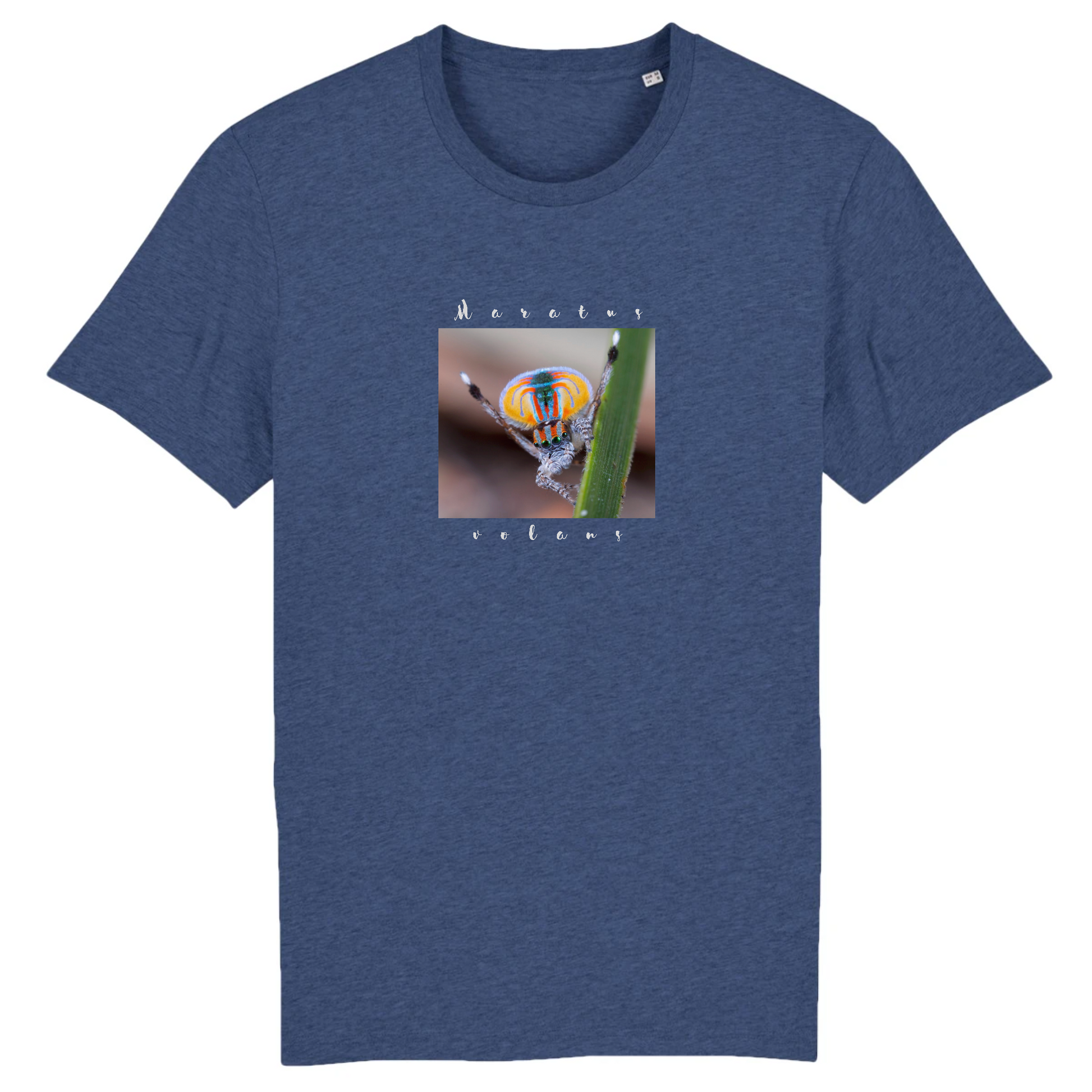 T-shirt homme coton bio | Graphisme araignée paon | Indigo