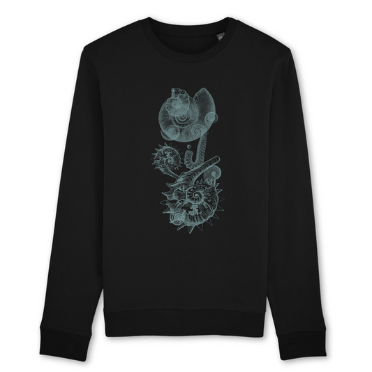 Sweat-shirt coton bio | graphisme nature animaux ammonites | noir