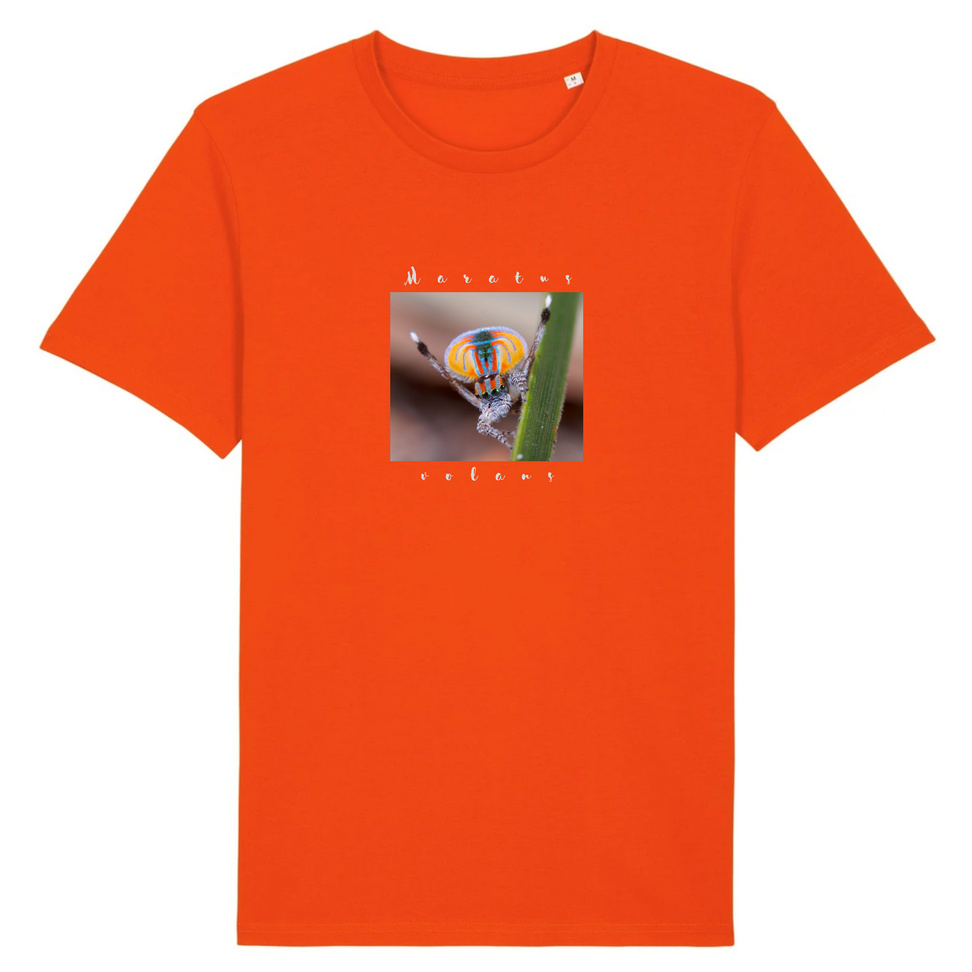 T-shirt homme coton bio | Graphisme araignée paon | Orange